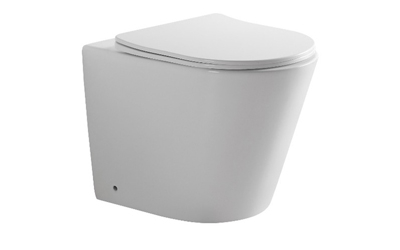 Neo rimless back to wall pan with soft close seat