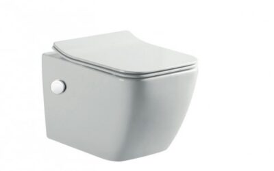 Style rimless short projection wall hung WC with hot/cold bidet mixing valve pan with soft close seat.